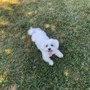 Meet your Posher, Danielle